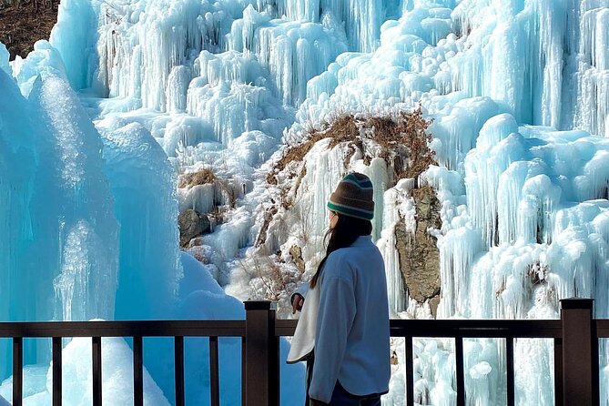 Eobi Ice Valley & Nami Island & Garden of Morning Calm Lighting Festival [Seoul] - Terms & Conditions