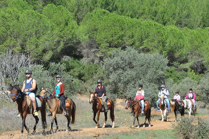 Ephesus Full-Day Tour With Horse Safari From Kusadasi Cruise Port Max 10 People - The Sum Up