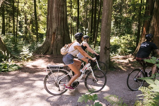 Epic Electric Bike by Cycle City Tours - Epic Electric Bike Features
