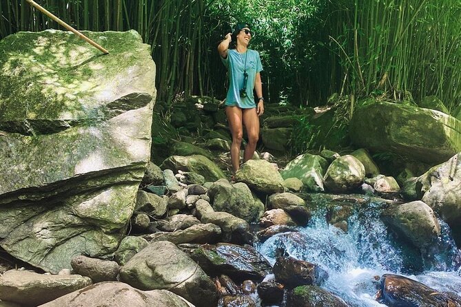 Epic Waterfall Adventure - Best of Maui - The Sum Up