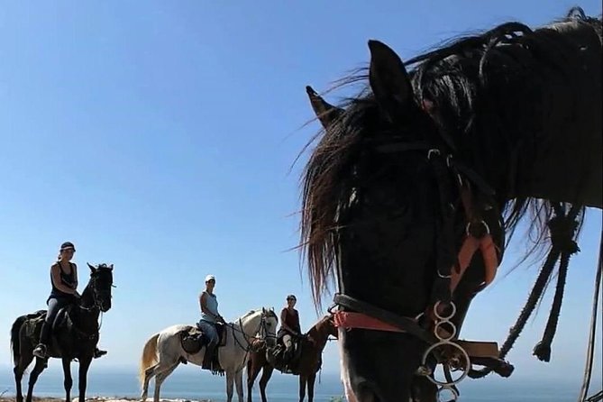 Essaouira Dromedary Camel or Horse Ride - Common Questions
