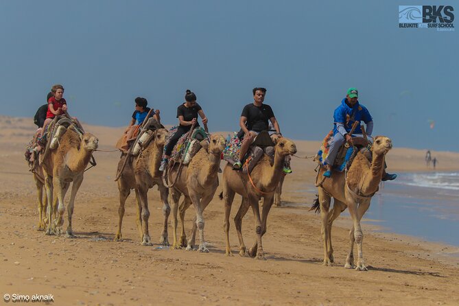 Essaouira Surf Lesson - Common Questions
