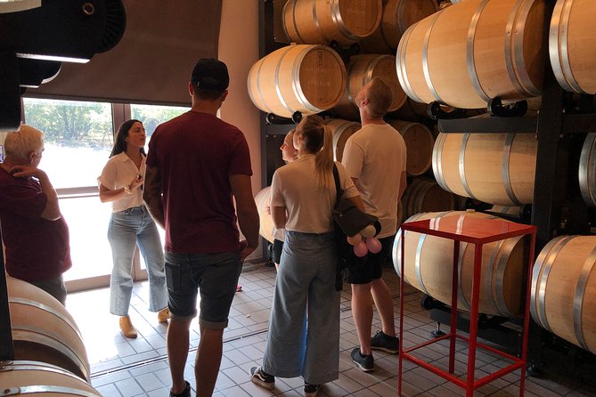 Etna Wine and Food Volcanic Day Tour - Private Experience - Private Experience and Customization