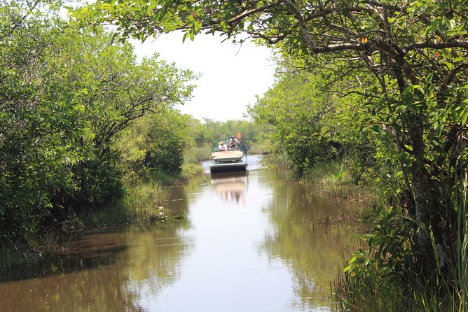 Everglades & Miami City Tour With Experienced Guide in Small Group - Common Questions