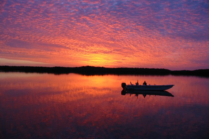 Everglades National Park Small Group Guided Boating and Walking Expedition - Walking Expedition Highlights
