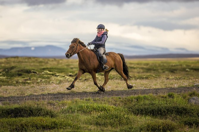 Exclusive Riding Program for Advanced Horse Riders - Give Me 5! - 2 to 3 Hours - The Sum Up