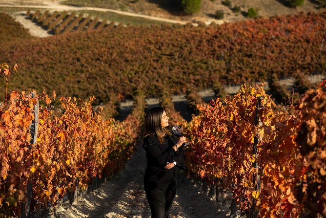 Exclusive Winery Tour and Tasting in the Golden Mile - The Sum Up
