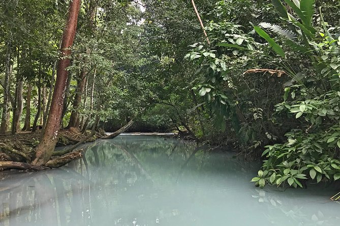 Excursion to Waterfalls of Villaluz and Tapijulapa "Magic Town" - Tips and Recommendations for the Excursion