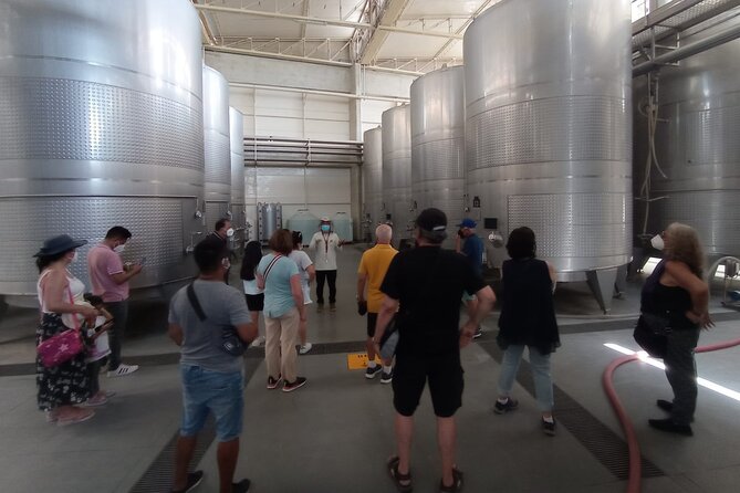 Experience and Tasting of Pisco and Peruvian Wine - The Sum Up