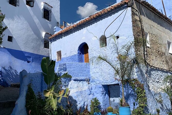 Explore Chefchaouen Like a Local - Exploring the Local Cuisine of Chefchaouen