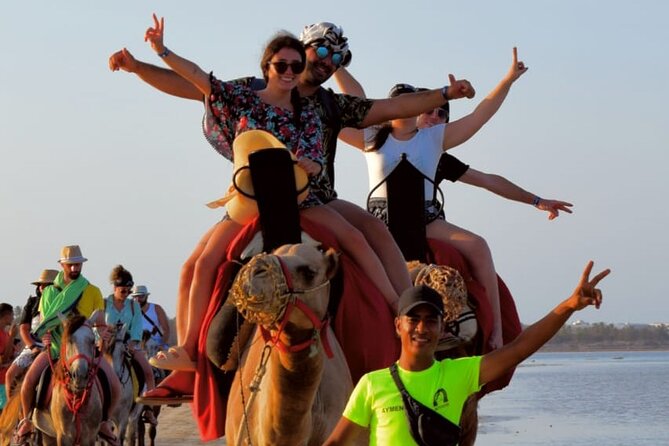 Explore Djerba With Our Four-Legged Friends - Directions for Booking and Enjoying the Experience