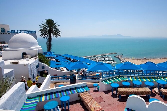 Explore the Essentials of Tunis in a Private Half Day - Local Experiences