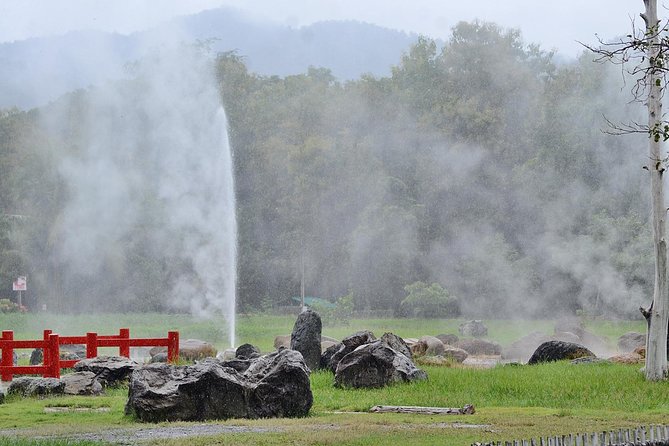 Extream Zipline @ Kingkong Smile and Dip in Hot Spring - Traveler Reviews and Ratings