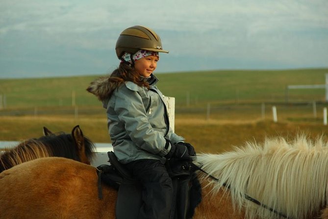 Family Friendly Horse Riding Tour in Skagafjörður - The Sum Up