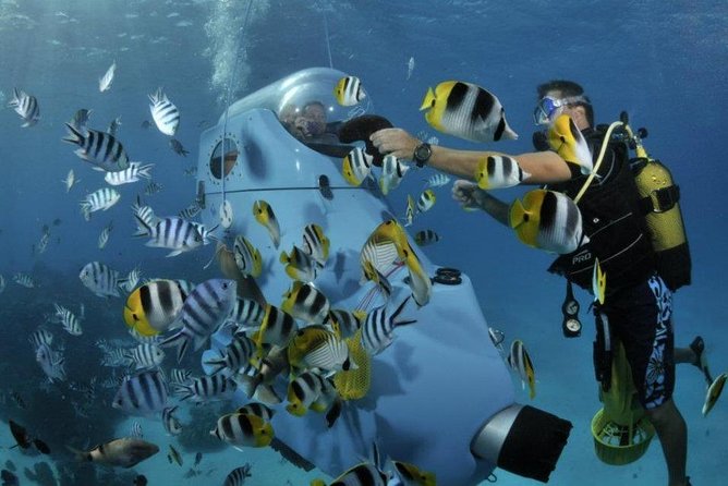 Family-Friendly Underwater Scooter Adventure via Speedboat  - Bora Bora - Inclusions and Amenities