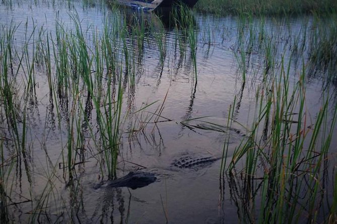 Florida Everglades Private Night Airboat Ride Tour - The Sum Up