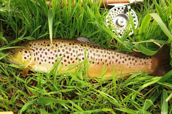 Fly Fishing for Wild Brown Trout on Lough Corrib. Galway. Private Ghillie. - Meeting and Pickup Information