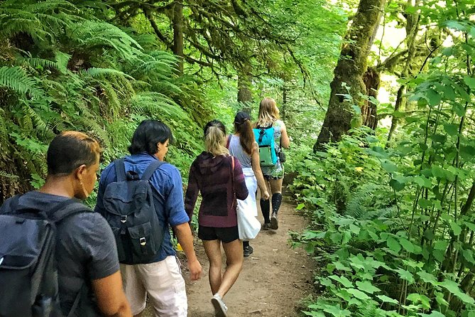 Forest Park Urban Hiking Tour, Portland - The Sum Up