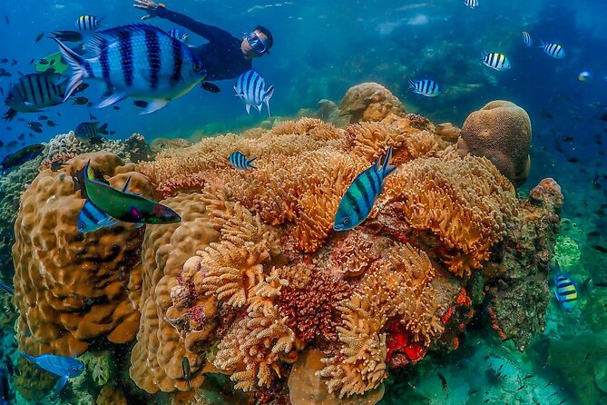 From Bangkok: Nemo Island With Lunch and Drone Photos - Common Questions