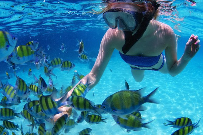 From Dubai: Snorkeling Trip in Fujairah - Travel From Dubai to Fujairahs Beaches
