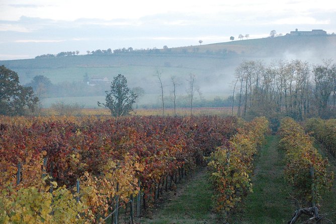 From Parma: Parmigiano,Prosciutto and Winery Tour and Tasting - Reviews and Ratings From Viator Travelers