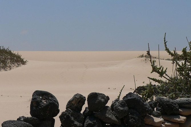 Fuerteventura Tour From Lanzarote - The Sum Up