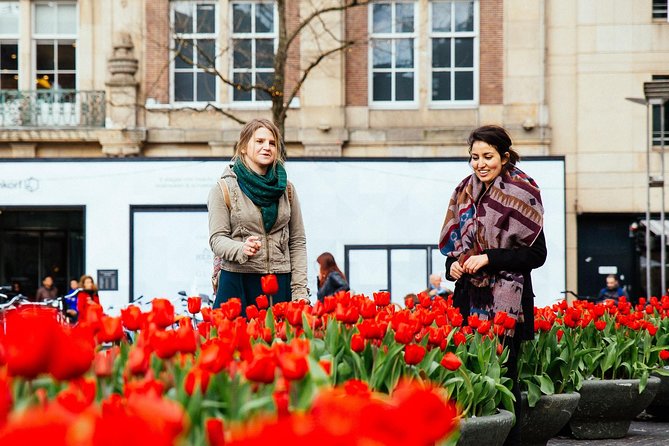 Full Coverage Amsterdam Private City Tour - Pricing and Terms