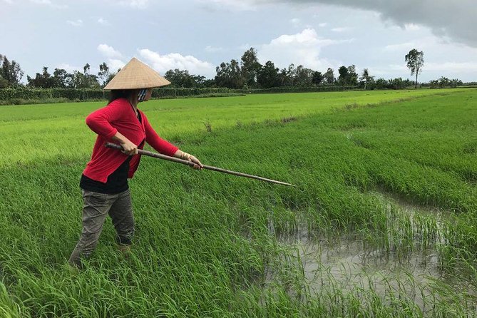 FULL Day - CAI RANG FLOATING MARKET, COOKING CLASS AND EXPLORE THE COUNTRYSIDE - Directions