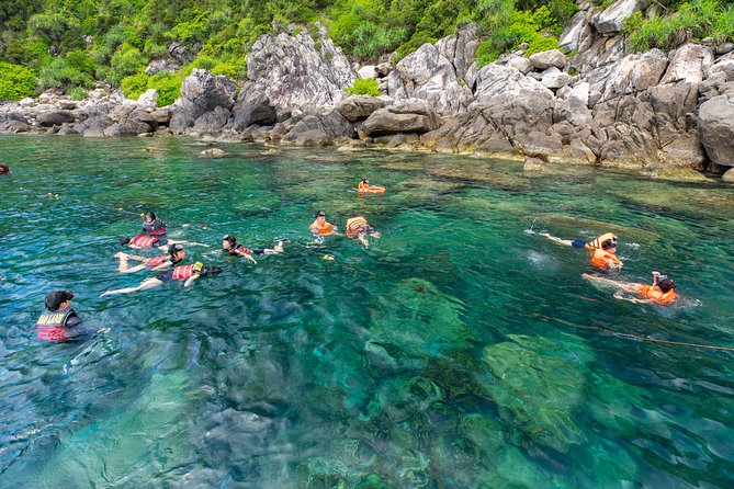 FULL-DAY CHAM ISLAND DISCOVERY & SNORKELING From HOI an - The Sum Up