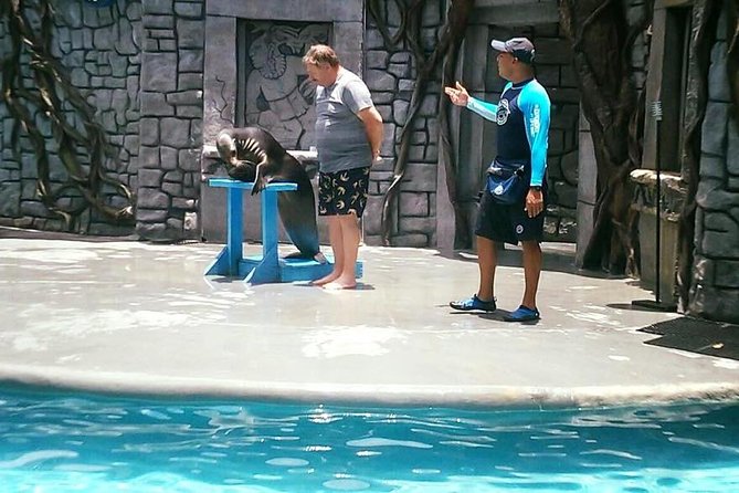 Full Day Cozumel Island Tour With Ferry, Snorkel, Virgin Beach, Buggy and Lunch - Common Questions