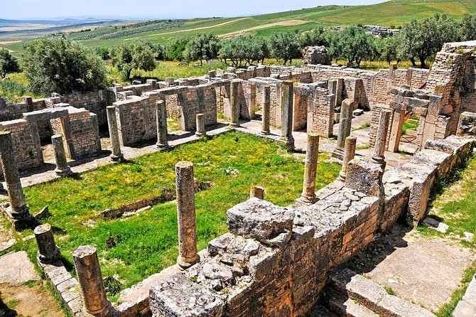 Full Day Dougga and Bulla Regia Private Tour With Lunch - Lunch and Seasonal Beauty