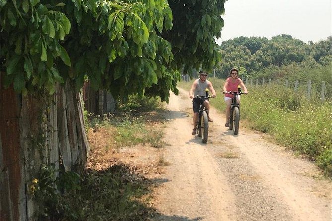 Full-Day E-Bike Adventure Ping River and Nam Phrae (Flat-Hilly, Guided) - The Sum Up