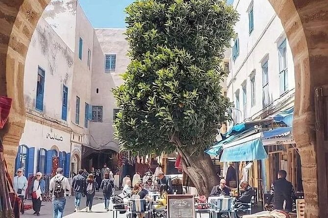 Full Day Excursion From Marrakech to Essouira - Local Guide and Cultural Insights