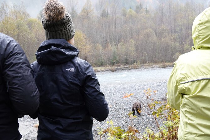 Full Day Grizzly Bear Tour to Bute Inlet - Common Questions
