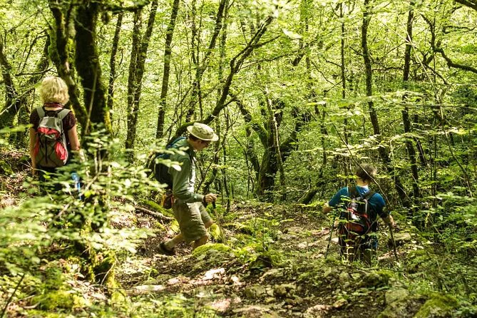 Full-Day Guided Hike of Vikos Gorge in Monodendri  - Epirus - Cancellation Policy and Weather Considerations