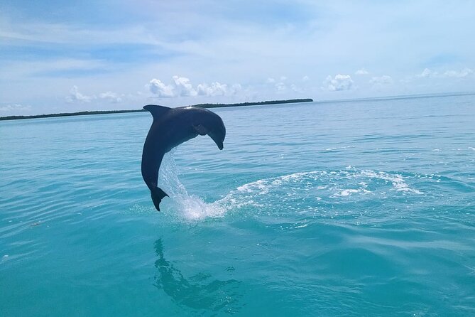 Full Day Guided Tour to Sian Kaan (Short Way) - Questions and Additional Information