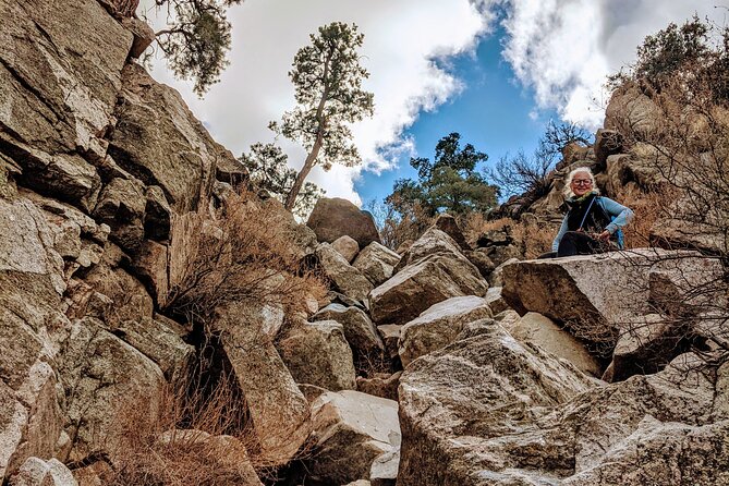 Full Day Hike in Joshua Tree National Park - Common Questions