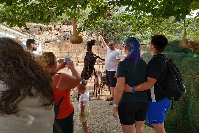 Full-Day Jeep Safari Tour With Cooking Lesson - Common Questions