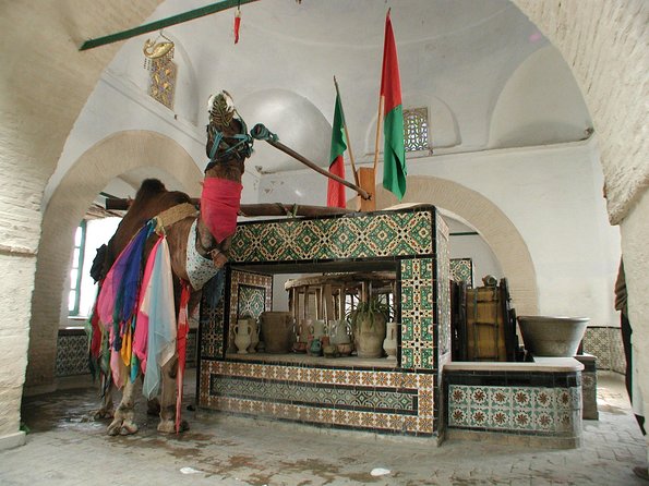 Full-Day Kairouan and El Jem Tour From Sousse - Reviews and Ratings