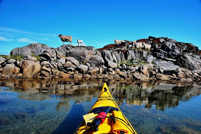 Full Day Kayak-Northern Explorer - Common Questions