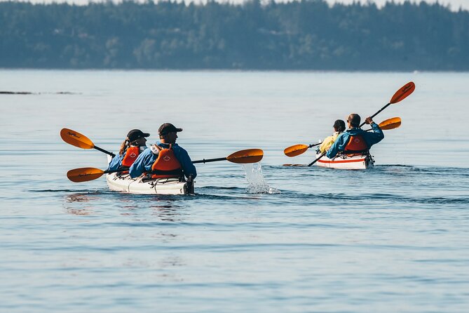 Full Day Kayaking Adventure on Vancouver Island - The Sum Up