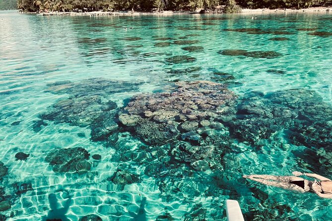 Full-Day Lagoon Safari Tour With Lunch in Bora Bora - Shared Tour - Start and End Time