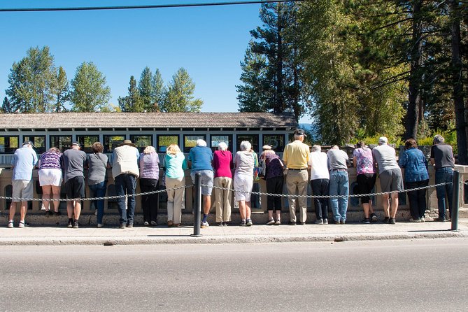 Full-Day Lake Tahoe Circle Tour Including Squaw Valley - Common Questions