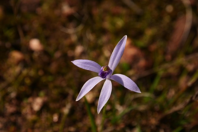 Full-Day Perth Flower Photography Excursion - Common Questions