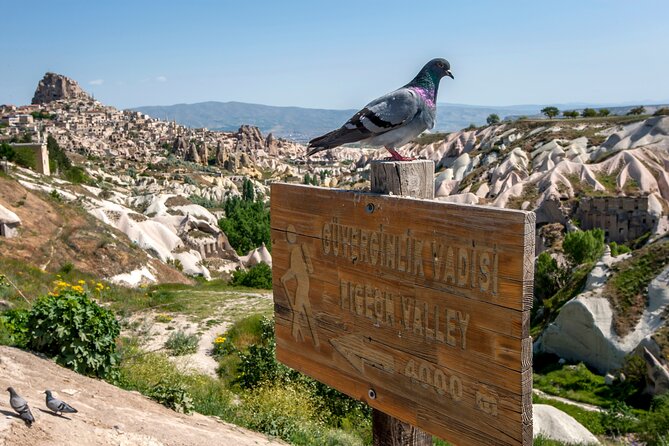 Full Day Private Cappadocia Tour (Guide & Driver) - The Sum Up