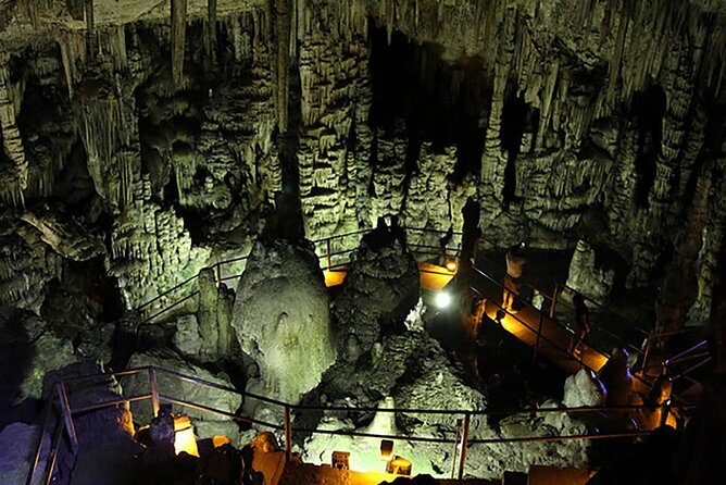 Full Day Private Family Excursion Designed for Kids FUN - Booking and Contact Details
