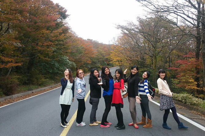 Full-Day Private Taxi Tour South of Jeju Island - Common Questions
