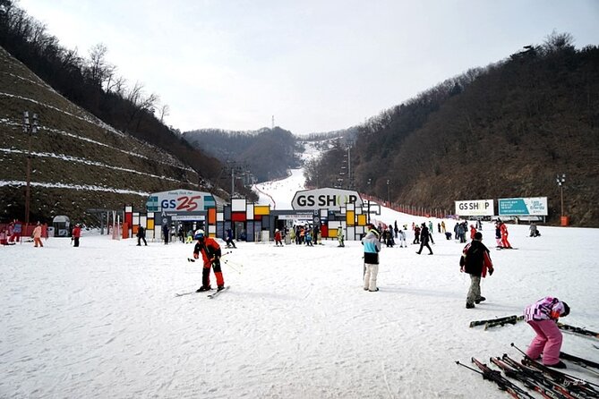 Full Day Private Tour Nami Island & Gangchon Elysian Ski - Nami Island Visit