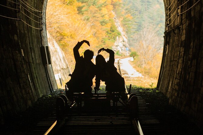 Full Day Strawberry Picking and Rail Bike in Nami Island - The Sum Up