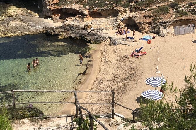 Full Day Tour by Car and Walking Among the Apulian Beauties - The Sum Up